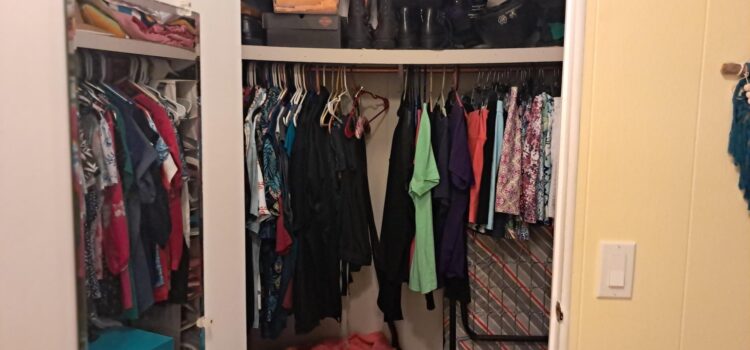 Walk-in Closet