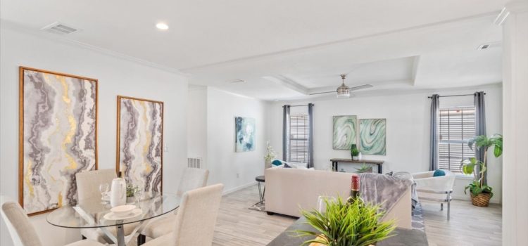 Living and Dining Room Area