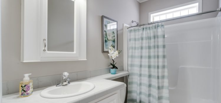 Guest bathroom
