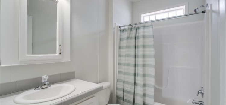 Guest bath