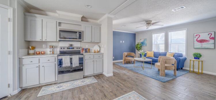 Kitchen and Living Room