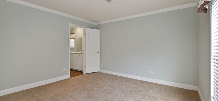 Spacious master bedroom with en suite bathroom
