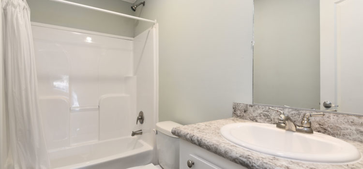 Guest bathroom