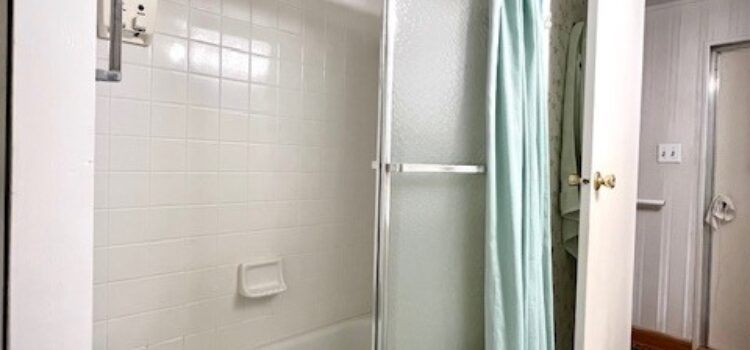 Shower and Tub Combo