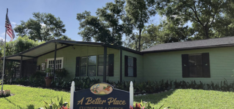 Meet our dedicated team at the A Better Place office