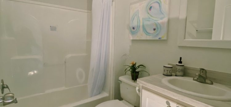 Shower and Garden Tub