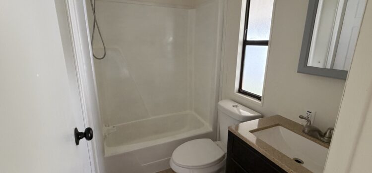 Shower Tub Combo
